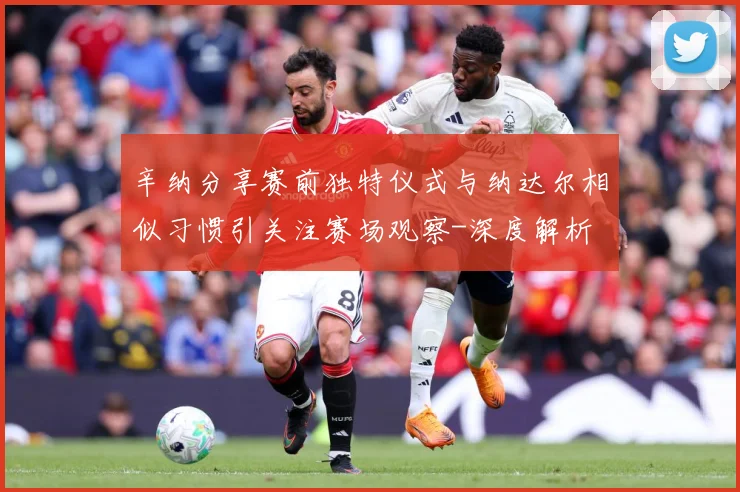 辛纳分享赛前独特仪式与纳达尔相似习惯引关注赛场观察-深度解析