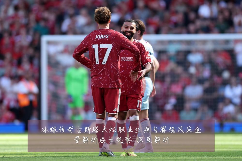 冰球传奇古斯塔夫松职业生涯与赛场风采全景解析成长观察-深度解析